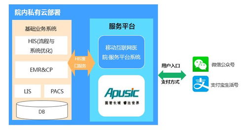 醫(yī)療信息系統(tǒng)安全漏洞 從基礎(chǔ)軟件服務(wù)隱患看真實案例警示